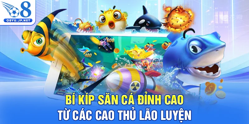 Bí kíp săn cá đỉnh cao từ các cao thủ lão luyện
