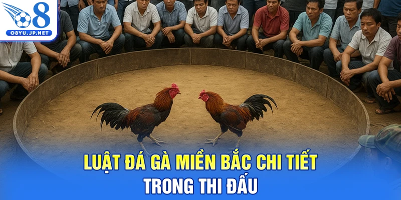 Luật đá gà miền Bắc chi tiết trong thi đấu