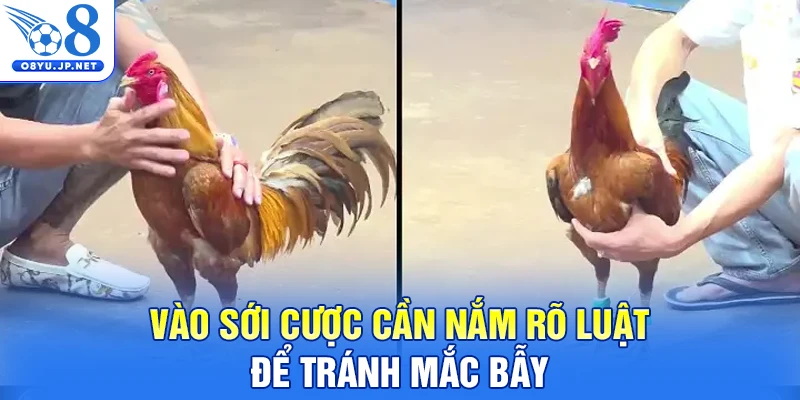 Vào sới cược cần nắm rõ luật để tránh mắc bẫy